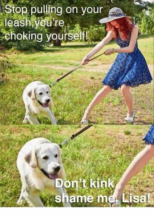 kink shame or common sense about bug chasing
